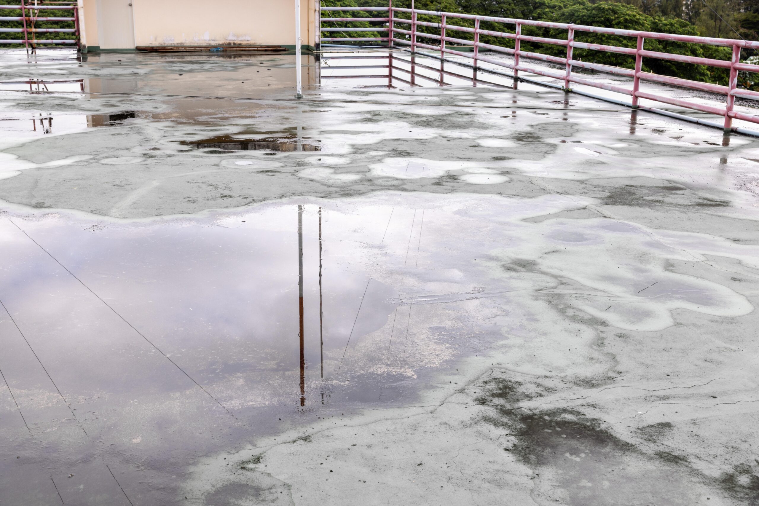 A grey flat roof covered in large puddles of rainwater, with a red metal railing along the edge in the background.